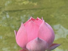 -朝阳公园
