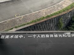 -知美术馆