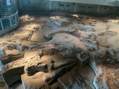 -自贡恐龙博物馆