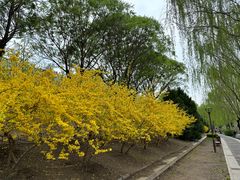 -元大都城垣遗址公园