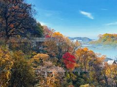 -少华山国家森林公园
