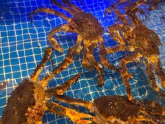 -驻海渔市(置信店)