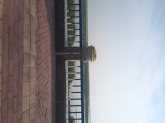 滨湖湿地公园-合肥滨湖国家森林公园