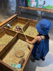 -酷嗒动物文化乐园(cutezoo西溪乐天城店)