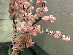 -汤森悠生活文化汤(江宁万达店)