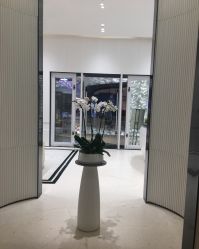 -奥斯芬欧系贵族SPA