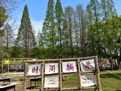 -苏州上方山国家森林公园