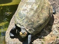 -海南热带野生动植物园