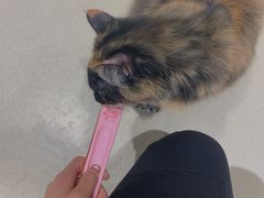 -藏猫猫咖啡主题馆(中央大道店)