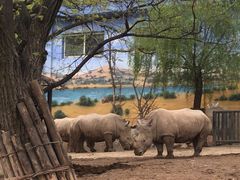 -西安秦岭野生动物园