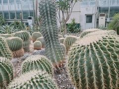 -成都动物园