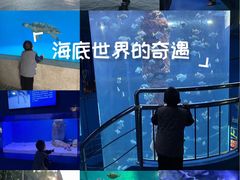 -厦门海底世界