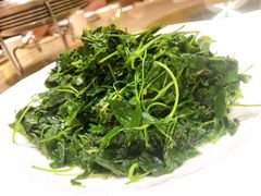 -红豆杉庄会议中心
