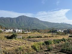 -塔川景区