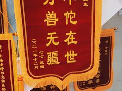 -爱侣·安琦尔宠物医院·中兽医针灸·心内科·狂犬免疫点(宝山区院)