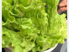 -海花锅盖烧烤店(怡馨家园店)