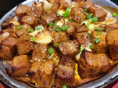 -船歌·鱼水饺青岛菜(合肥路永旺店)