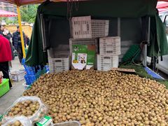 -南坛综合农贸市场