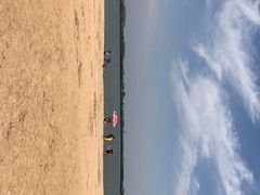 -瑶湖郊野森林公园