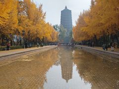 -玲珑塔公园