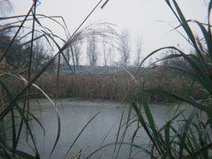 -白鹭湾湿地公园