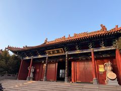 -大槐树寻根祭祖园