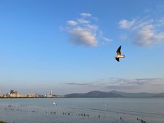 -深圳湾公园(南山区)