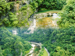 -光雾山旅游景区