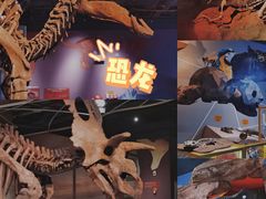 -正佳自然科学博物馆
