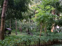 -三亚湾海居铂尔曼度假酒店