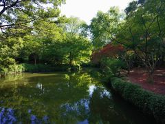 -秋霞圃