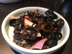 木耳-辣尚瘾·烤鱼·新川菜(交大直营店)