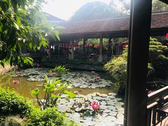 -河内西湖莲花自助餐厅