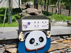 -卧龙中华大熊猫苑神树坪基地