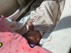 -小蝌蚪·寻·月嫂(普陀总部)