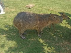 -南京金牛湖风景区