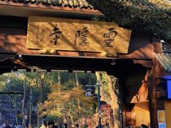 -野蔓果·山野菜(西湖景区·龙井茶田店)