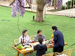 -柠檬花院烤肉·会议团建·聚会·求婚(三圣乡店)