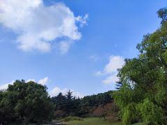 -上海滨江森林公园
