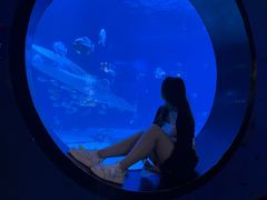 -烟台海昌鲸鲨海洋公园