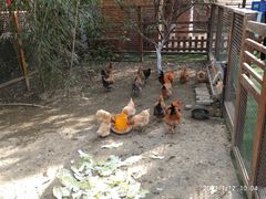 -上膳源有机农场