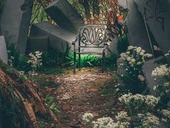 -上海鲜花港