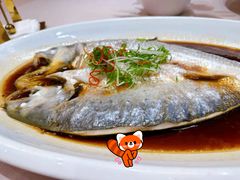 红蒸鲜鲥鱼-名豪品鲜荟(云亭店)