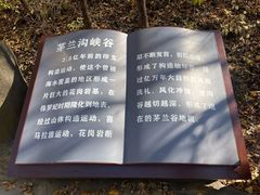 -茅兰沟国家森林公园
