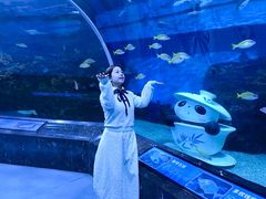 -海合安成都极地海洋公园
