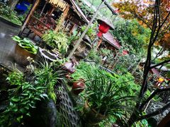 -青城甲(青城山店)