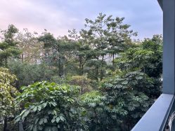 -宝生月子中心·私家园林式(龙华观澜店)