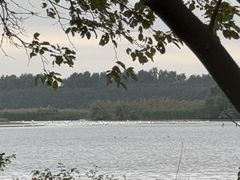 -大湾区中央湿地公园