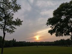 -紫金港国际饭店-自助早餐(申花路店)