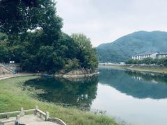 -溪口-滕头旅游景区